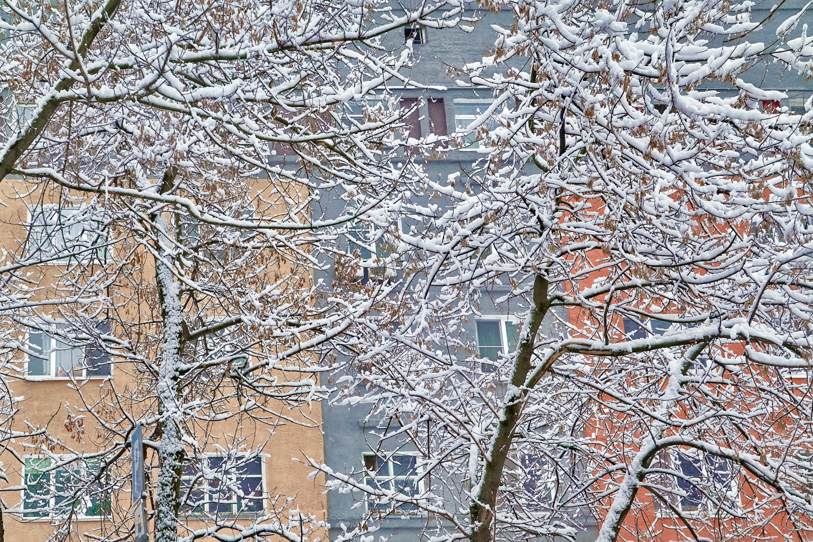 Snow | Снег